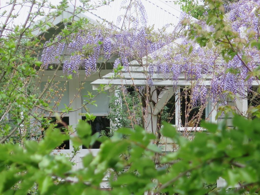 Amelina Cottages Marysville Εξωτερικό φωτογραφία